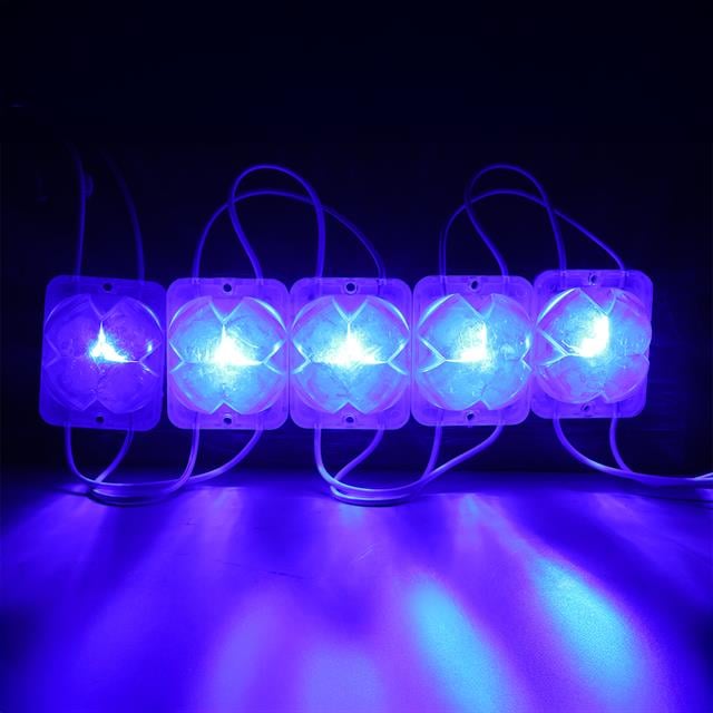 12 Volt 2 Watt Mavi Yanıp Sönen 4333-3030 Modül Led