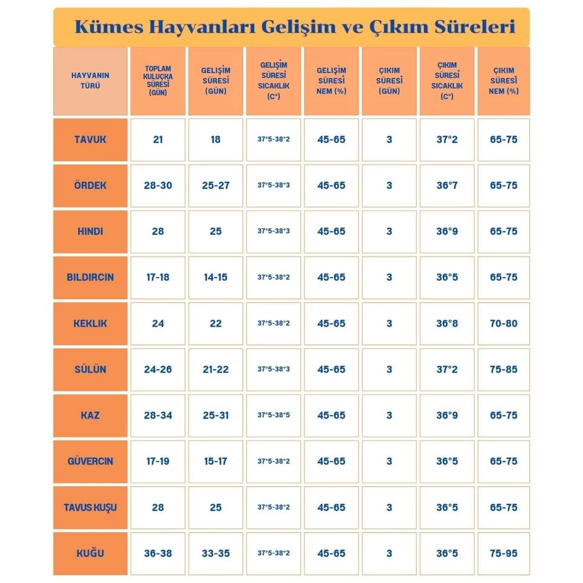 60 Yumurta Kapasiteli Tam Otomatik Kuluçka Makinesi - Civciv, Kaz, Hindi Ve Ördek Yetiştiriciliği E