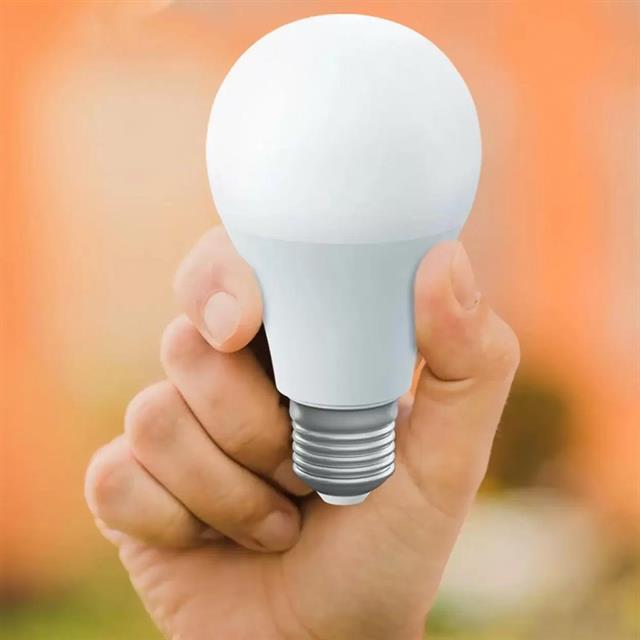 AL-A109G 9 Watt E27 4000K 810 Lümen Günışığı Led Ampul