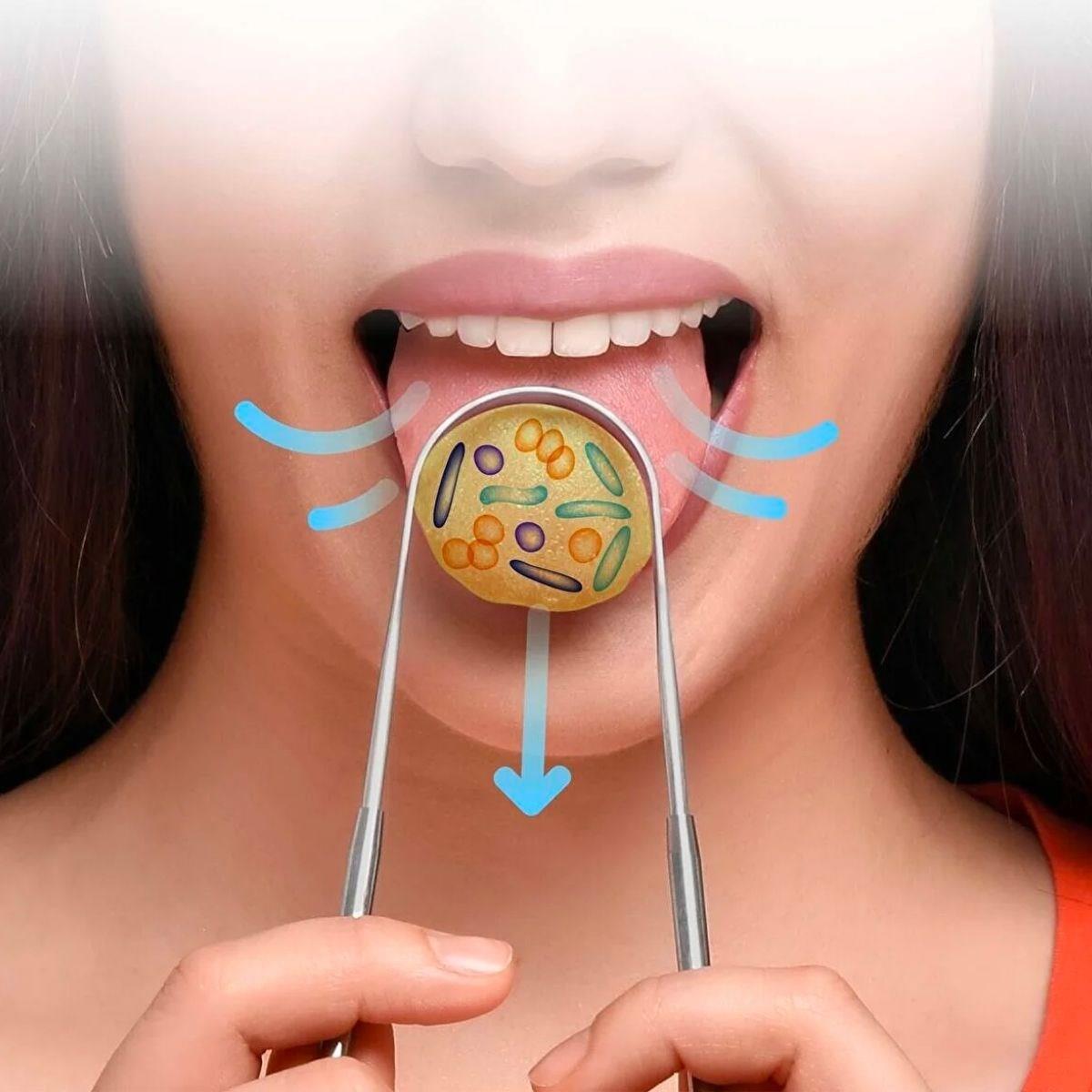 Скребок для чистки языка и приспособление для чистки языка