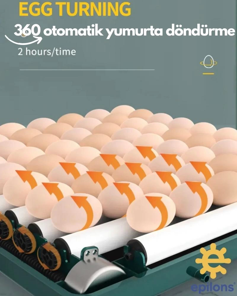 Kuluçka Makinesi 130 Tavuk Yumurtalı Extra Yedek Motorlu İncubator