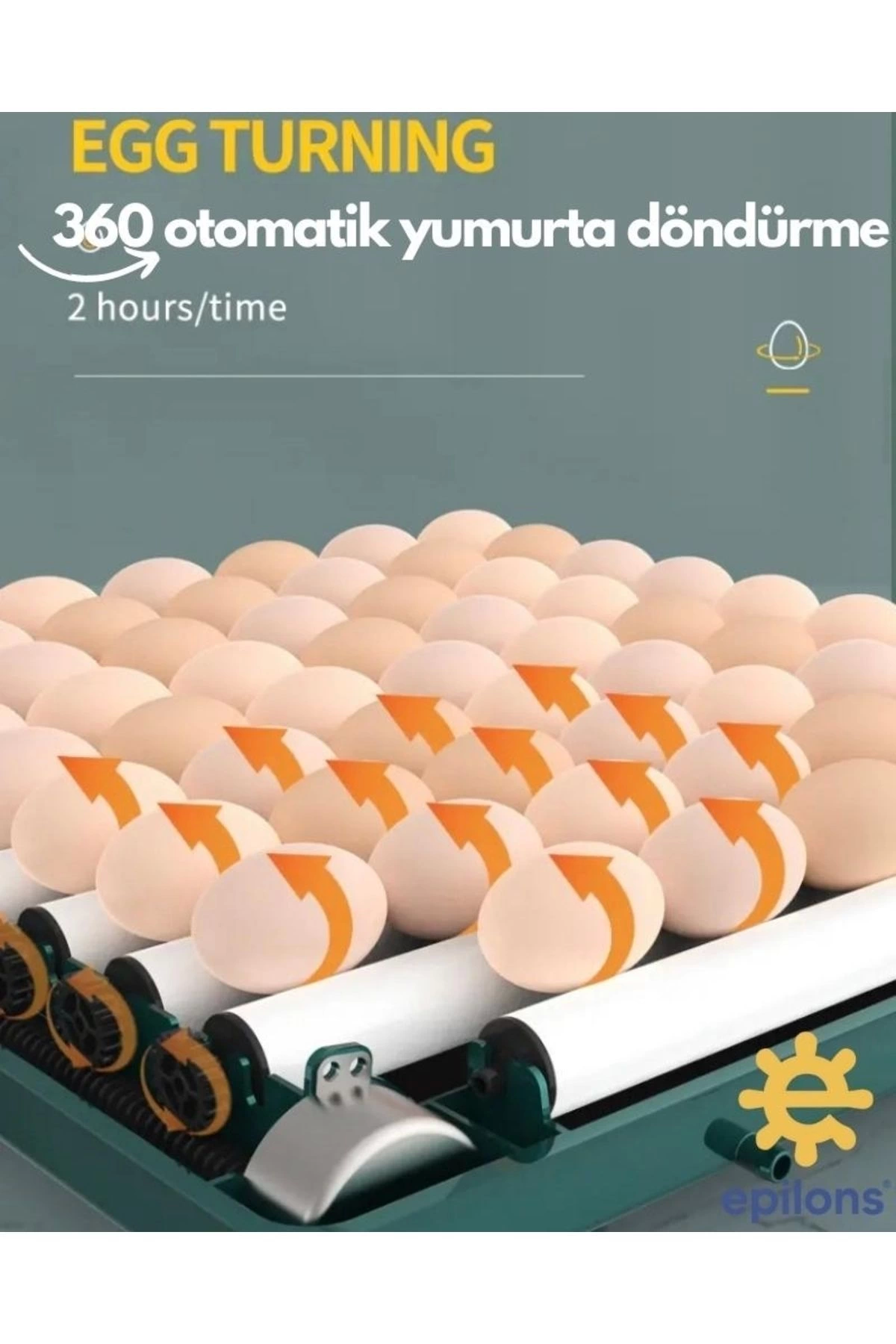 Otomatik Kuluçka Makinesi