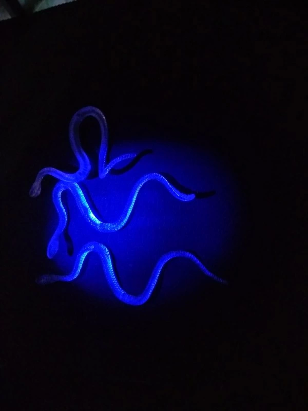 Şaka Yılan Ve Kırkayak Karışık 36 Adet