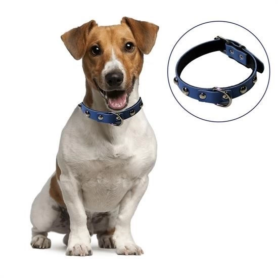 Yumuşak Dokulu Deri Köpek Gezdirme Boyun Tasması