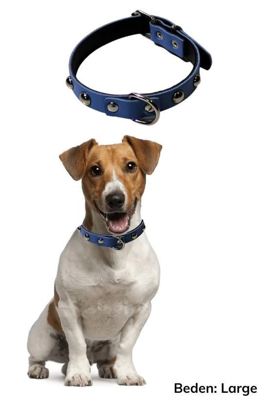 Yumuşak Dokulu Deri Köpek Gezdirme Boyun Tasması